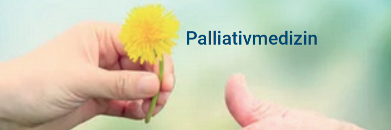 Hand einer jüngeren Person reicht eine gelbe Löwenzahnblüte an die Hand einer älteren Person. Text: 'Palliativmedizin', 'Ärztliche Begleitung für ein gutes Lebensende'.